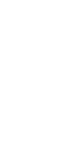 中部