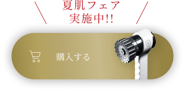 購入する